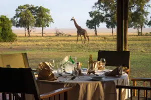 Game viewing from camp. 