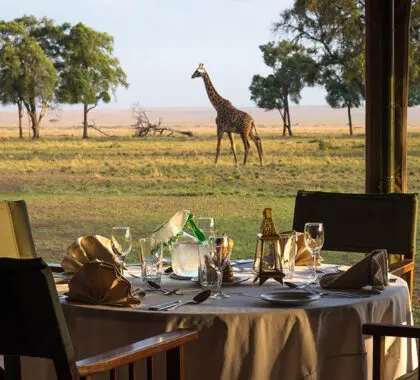 Game viewing from camp. 