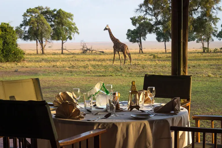 Game viewing from camp. 