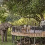 Genießen Sie eine Sesselsafari vom Aussichtsdeck aus | Governors Camp