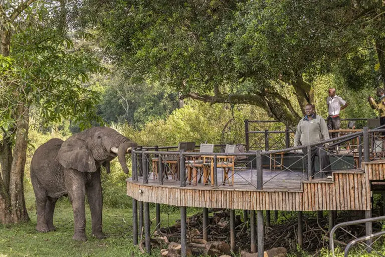 Enjoy an armchair safari from the viewing deck | Governors Camp