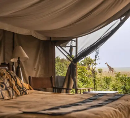 Governors-Camp---tent-interior-with-a-giraffe-in-the-distance