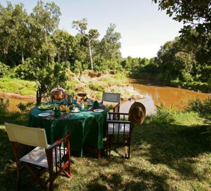 Enjoy a meal in the bush overlooking the Mara River.