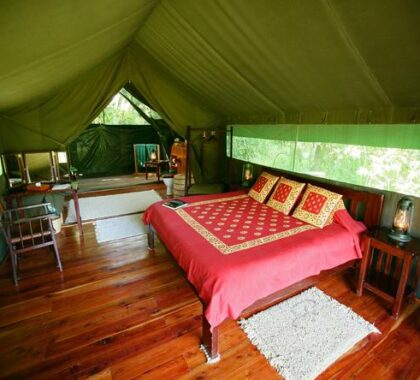Accommodation comes in the form of 8 private, spacious tents, furnished with tasteful handmade furniture.