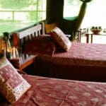 The bedrooms are light and airy, surrounded by the sights and sounds of the Mara wilderness.