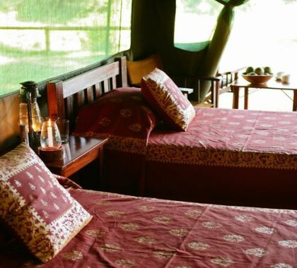 The bedrooms are light and airy, surrounded by the sights and sounds of the Mara wilderness.