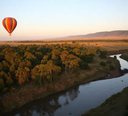 Safaris en globo aerostático.