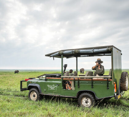Specially designed photographic safari vehicles.