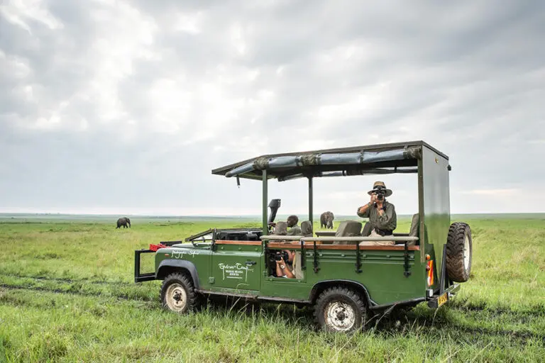 Specially designed photographic safari vehicles.
