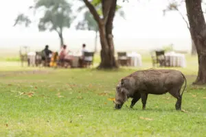 Hogar de una increíble variedad de vida salvaje.
