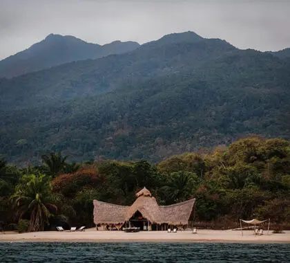 Disfrute de una escapada al estilo Crusoe | Greystoke Mahale