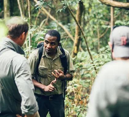 Guías expertos para una exitosa excursión en chimpancé | Greystoke Mahale