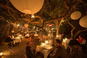 Una cena en el boma del bosque iluminado con linternas en Grootbos.