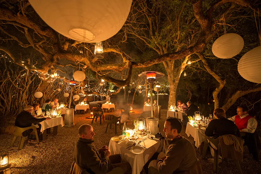 Una cena en el boma del bosque iluminado con linternas en Grootbos.