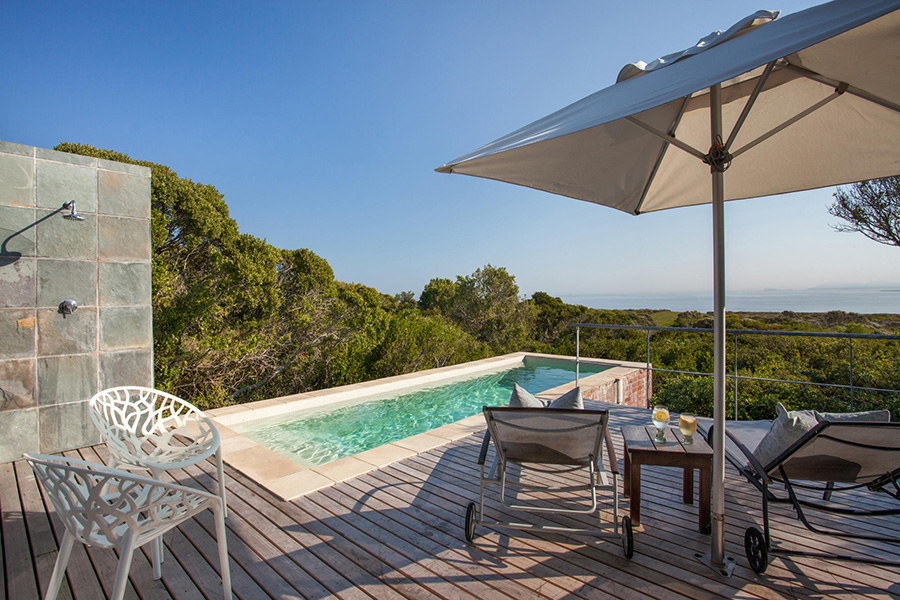 Grootbos-Forest-Lodge----forest-suite-pool-exterior-01