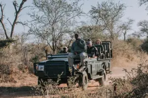 guided-game-drive-3