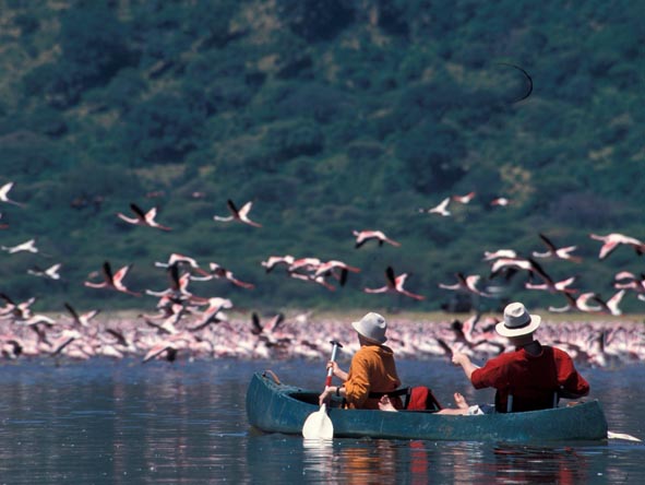 Canoeing on the Momella Lakes offers guests the chance to see great flocks of flamingos.