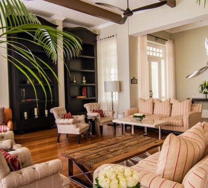 Elegantemente amueblado con una decoración contemporánea y chic.