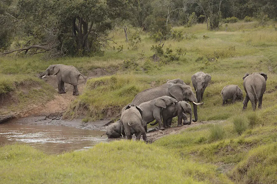 asilia_ol_pejeta_bush_camp