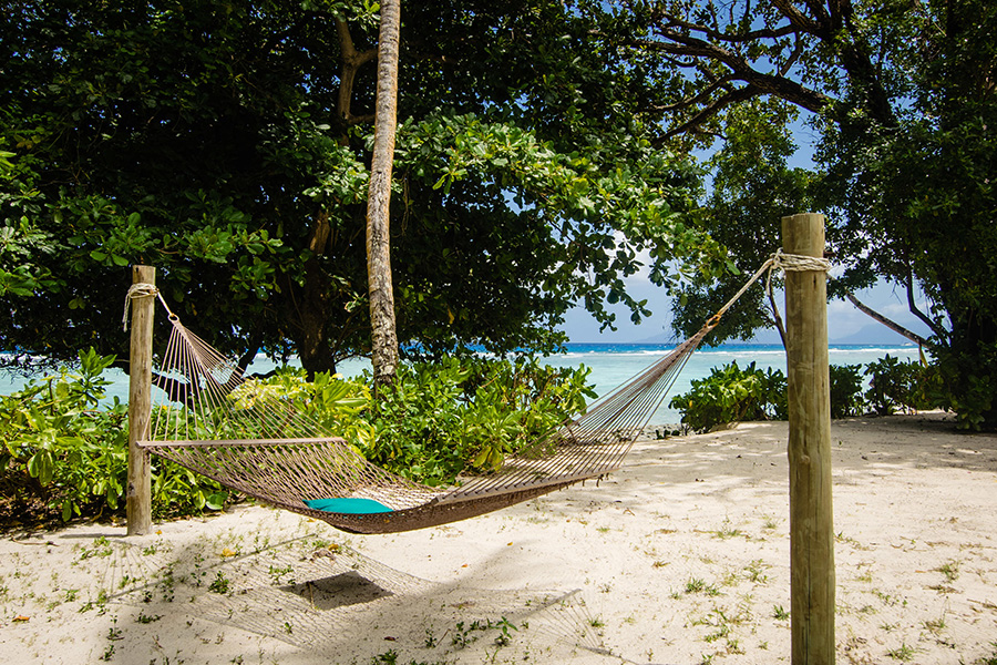 Hilton-Seychelles-Labriz---King-Beachfront-Villa-3-hammock