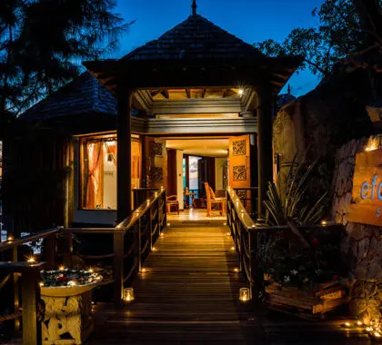 The Eforea Spa awaits with luxurious treatments, rejuvenating massages.