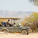 Game drives take you in search of desert-adapted elephant, black rhino & big cats.