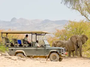 Game drives take you in search of desert-adapted elephant, black rhino & big cats.