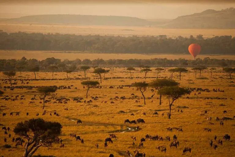 Hot air balloon ride over the Wildebeest Migration with Sanctuary Olanana.