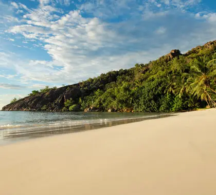 Disfrute de sus playas vírgenes.
