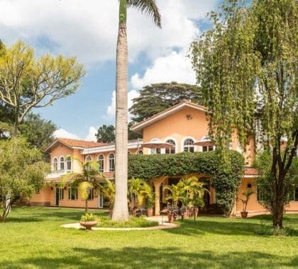 casa-de-waine-bandera-2-jardin