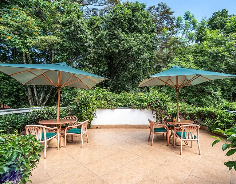 Enjoy fresh meals on the terrace.