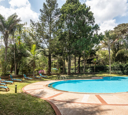 After you've arrived in Nairobi, settle into your room at House of Waine and then enjoy a refreshing dip in the swimming pool.
