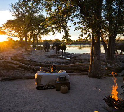 Watch a sunset with the company of elephants.