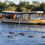Paseo en barco por el Hotel Ilala Lodge.