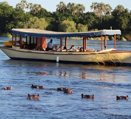 Paseo en barco por el Hotel Ilala Lodge.
