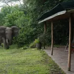 Visitantes en el campamento.