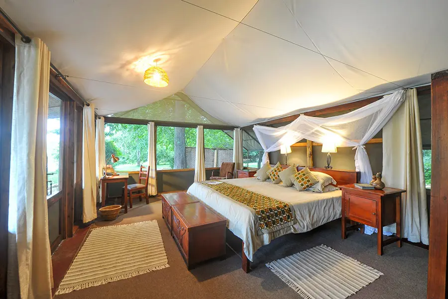 ishasha_wilderness_camp-room3