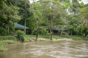 The camp is located in a secluded region on the banks of the Ntungwe River.