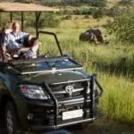 Spot the wildlife while on a game drive with an experienced guide.
