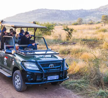 Game drives.
