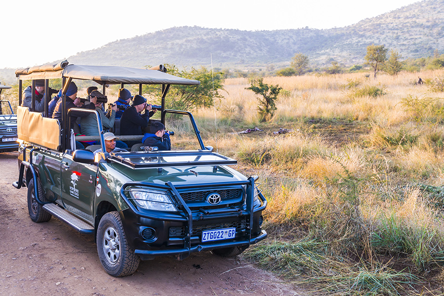 Game drives.