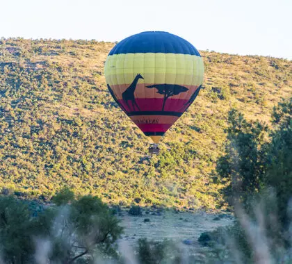 Hot air balloon safari at Ivory Tree.