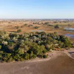 In dry season, the water levels drop slightly, creating room for more animals to wander past the lodge.