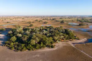 In dry season, the water levels drop slightly, creating room for more animals to wander past the lodge. 