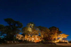 Evenings at Jacana.
