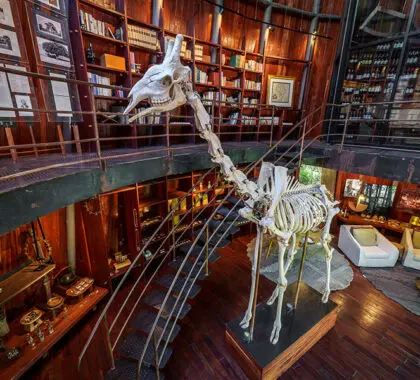 The Jao Camp library.