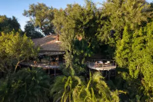 jao-reserve-accommodation-jao-camp-main-areas-5