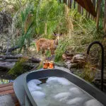 Spend an afternoon luxuriating at the spa.