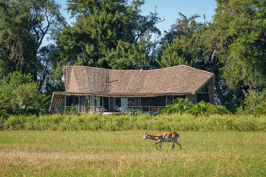 jao-reserve-accommodation-jao-camp-suites-2