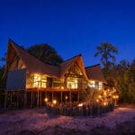 Evenings in the Okavango Delta herald a blanket of stars, illuminating the landscape.

